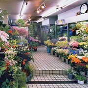 「花幸花店」　（大阪府枚方市）の花屋店舗写真2